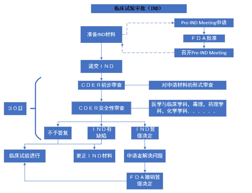 临床试验审批（IND）.jpg